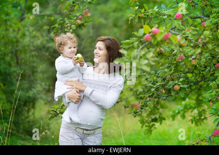 Schöne junge schwangere Frau und ihre lachende Baby Tochter pflücken Äpfel in einem Garten im Herbst Stockfoto