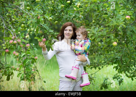 Schöne junge schwangere Frau und ihre lachende Baby Tochter pflücken Äpfel in einem Garten im Herbst Stockfoto