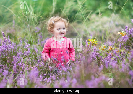 Entzückende Babymädchen spielen mit lila Blüten in einer Heide Landschaft an einem schönen sonnigen Herbsttag Stockfoto