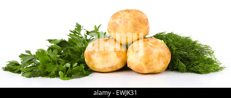 Frische Kartoffeln und grünen Dill und Petersilie isoliert auf weißem Hintergrund Stockfoto