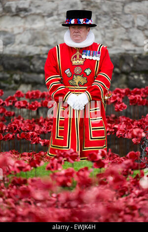 Ein Yeoman Of The Guard steht auf dem Gebiet der Keramik Mohnblumen in den Wassergraben des Tower of London. Stockfoto