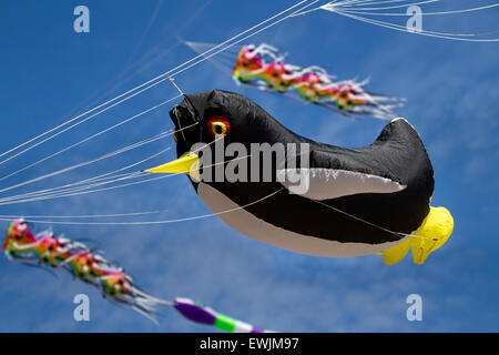 Morecambe, Lancashire, Großbritannien, 27. Juni 2015. Der Wind Kite Festival Fangen ein jährliches Festival in Morecambe direkt am Meer, als für den ganzen Tag den Himmel sind voll der spektakulärsten tierischen Formen, Farben und Kreationen. Empfohlene wurden einzelne Zeile zeigen Kites aller Arten und Größen, darunter auch eine große fliegende Pinguin Aufblasbare. Stockfoto