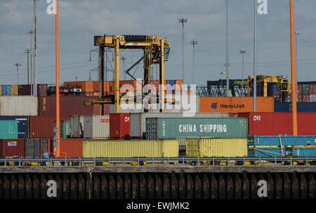 Container von Beladung im DP Welt Hafen von Southampton Stockfoto