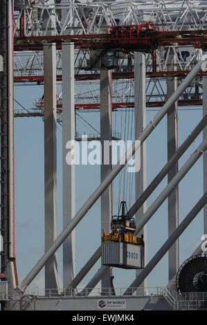 Container von Beladung im DP Welt Hafen von Southampton Stockfoto