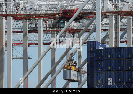 Container von Beladung im DP Welt Hafen von Southampton Stockfoto