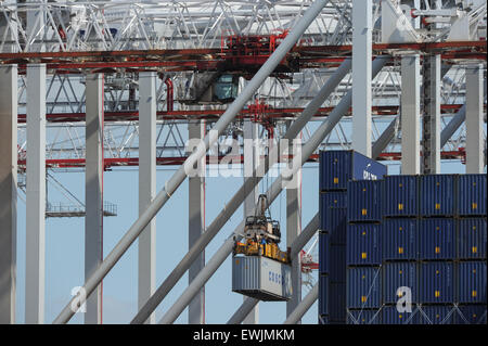 Container von Beladung im DP Welt Hafen von Southampton Stockfoto