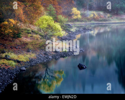 Kleinen See und im Herbst Farbe in der Nähe des Colubmia-Flusses. Columbia River National Scenic Area, Washington Stockfoto