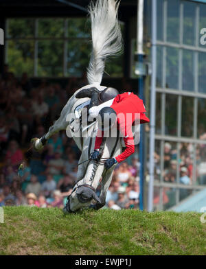 Hickstead, UK. 27. Juni 2015.  Ellen WHITAKER [GBR] Reiten LE BEAU nimmt einen Sturz während der britischen Speed-Derby für die Liz Dudden Memorial Trophy. Hickstead Derby treffen.  Stephen Bartholomäus / Stephen Bartholomäus Fotografie. Bildnachweis: Stephen Bartholomäus/Alamy Live-Nachrichten Stockfoto