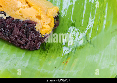 Schwarzer Klebreis mit Vanillesauce, eingehüllt in Banane Blätter Stockfoto