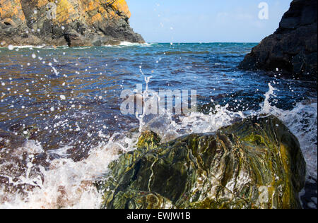 Das Meer, auf Felsen am Cadgwith Cove, Cornwall, England, UK Stockfoto