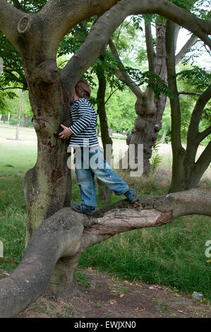 Jungen auf einen Baum Stockfoto