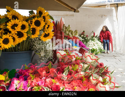 Ein kleines ecuadorianisches Mädchen verkauft Blumen auf dem Blumenmarkt in Plazoleta del Carmen, Cuenca, Ecuador. Stockfoto