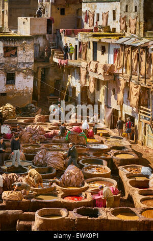 Leder Chouwara Gerberei, Fes Medina, Marokko, Afrika Stockfoto