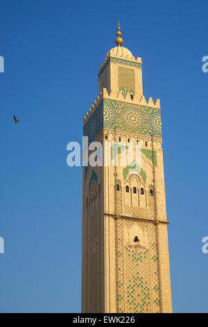 Hassan II Moschee, Casablanca, Marokko, Afrika Stockfoto