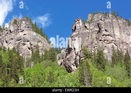 Hohe Berge mit Wald in Telluride, Colorado. Stockfoto