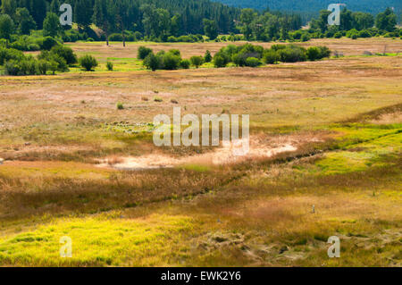 Middle Fork John Day River Valley, Dunstan Homestead zu bewahren, Oregon Stockfoto