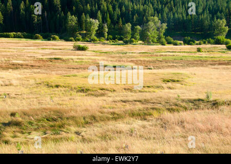 Middle Fork John Day River Valley, Dunstan Homestead zu bewahren, Oregon Stockfoto