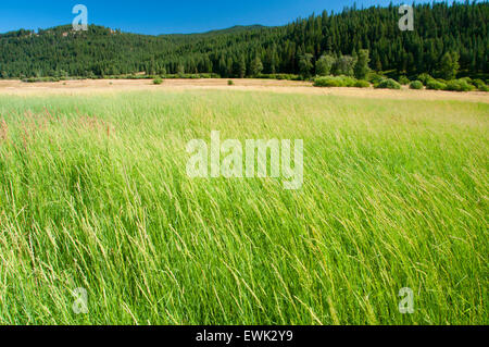 Middle Fork John Day River Valley, Dunstan Homestead zu bewahren, Oregon Stockfoto