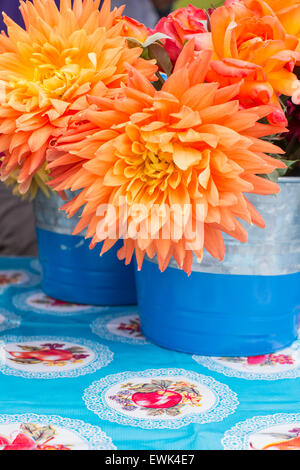 Metall-Eimer mit Dahlien und Rosen in Sebastopol Bauernmarkt, Sonoma County, Kalifornien Stockfoto
