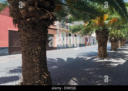 SANTA CRUZ, Teneriffa, Spanien - 21. Juni 2015: Innenstadt-Straße in Santa Cruz, der Hauptstadt von Teneriffa Stockfoto