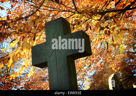 Die alte Kirche Hof, Roermond Niederlande Stockfoto