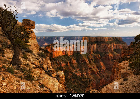 Am späten Nachmittag Wolken schweben, letzten Wotans Thorne und Cape Royal entlang der North Rim von Arizona Grand Canyon National Park. Stockfoto