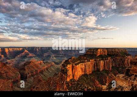 Abendlicht taucht Welt Thron von Cape Royal auf der North Rim von Arizona Grand Canyon National Park. Stockfoto