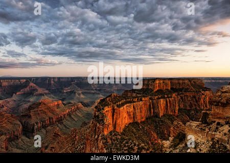 Bürgerlichen Dämmerung auf Welt-Thron von Cape Royal entlang der North Rim von Arizona Grand Canyon National Park. Stockfoto