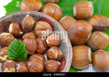 Rohe Haselnüsse in einer Schüssel mit einem grünen Blatt Stockfoto