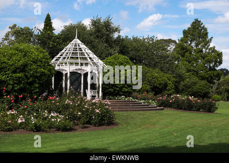 Die Rogers Rosengarten in Hamilton Gardens, New Zealand. Stockfoto