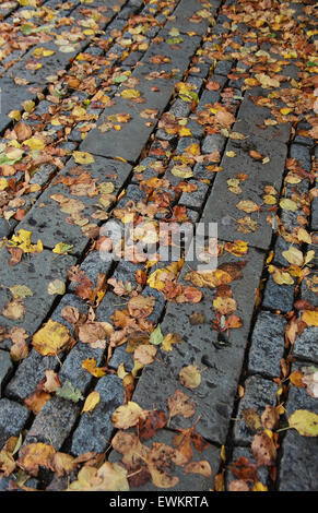 Goldene Blätter, die auf einen nassen gepflasterten Weg gefallen sind Stockfoto