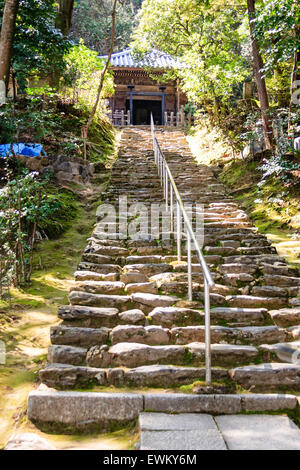 Japan, Kyoto, arashiyama. Nison-ji Temple. Lange Reihe von groben Stein Schritte geradeaus bis zu einem kleinen Glanz auf dem bewaldeten Hügel Stockfoto