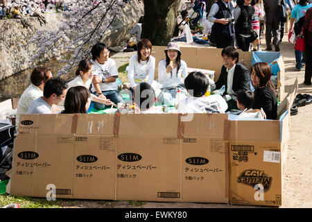 Japan. Gruppe für junge Erwachsene Personen, die eine traditionelle japanische Kirschblüte im Frühling von River. Gruppe von Pappe umgeben. Stockfoto