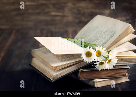 Oldtimer Bücher und Kamillen auf hölzernen Hintergrund Stockfoto