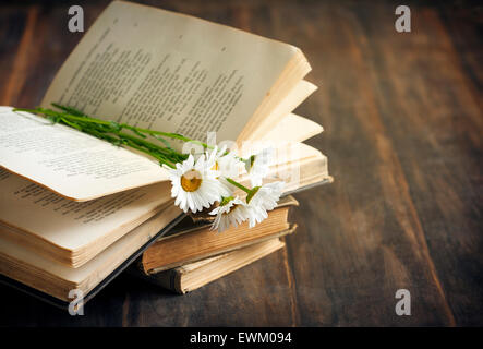 Oldtimer Bücher und Kamillen auf hölzernen Hintergrund Stockfoto