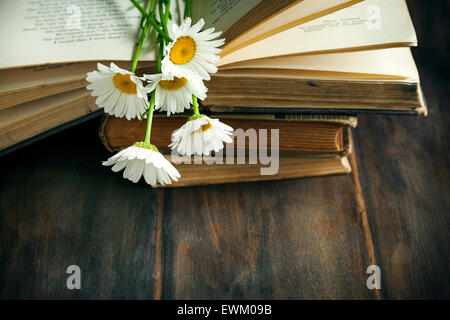 Oldtimer Bücher und Kamillen auf hölzernen Hintergrund. Getönten Bild Stockfoto