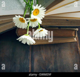 Oldtimer Bücher und Kamillen auf hölzernen Hintergrund Stockfoto