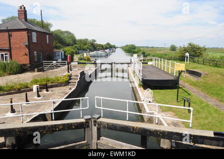 Der Fluss Witham oberhalb Bardney Schleuse mit Blick auf Lincoln, Lincolnshire, UK Stockfoto