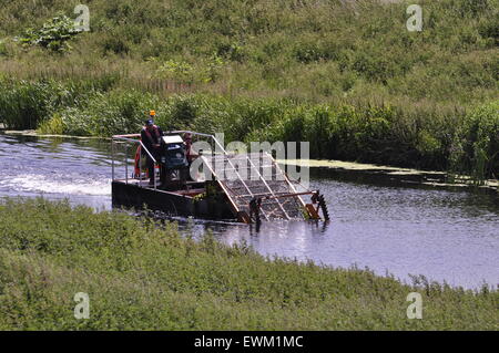 Ein Environment Agency Unkraut Cutter arbeitet an dem Fluss Witham oben Bardney, Lincolnshire. Stockfoto