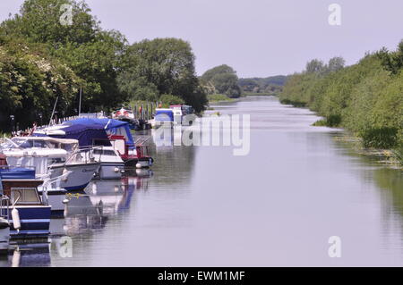 Der Fluss Witham oberhalb Bardney Schleuse mit Blick auf Lincoln, Lincolnshire, UK Stockfoto