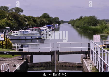 Der Fluss Witham oberhalb Bardney Schleuse mit Blick auf Lincoln, Lincolnshire, UK Stockfoto