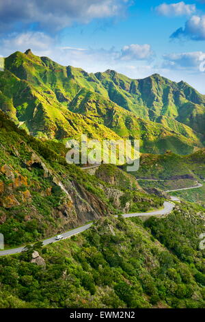 Anaga Naturpark, Teneriffa, Kanarische Inseln, Spanien Stockfoto