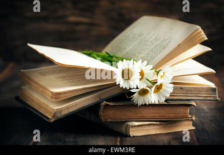 Oldtimer Bücher und Kamillen auf hölzernen Hintergrund Stockfoto