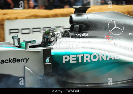 Nico Rosberg fährt 2013 Mercedes MGP W04 F1 Auto beim Goodwood Festival of Speed. Rennfahrer, besuchte Prominente und Tausende von Mitgliedern der Öffentlichkeit das Goodwood Festival of Speed, moderne und alte Rennwagen und Motorräder in Aktion zu sehen. Stockfoto