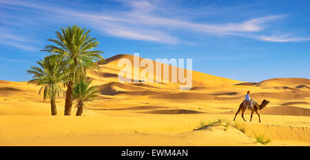 Berber Mann Reiten auf dem Kamel, Erg Chebbi Wüste bei Merzouga, Sahara, Marokko Stockfoto