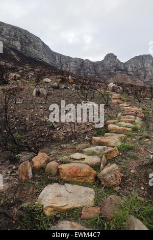 Wanderweg auf dem Berg Pisten über Hout Bay, nach den letzten Buschfeuer in der Kap-Halbinsel Stockfoto