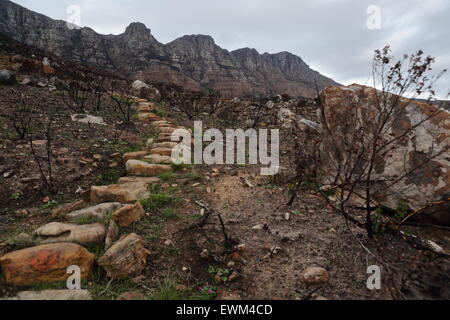 Wanderweg auf dem Berg Pisten über Hout Bay, nach den letzten Buschfeuer in der Kap-Halbinsel Stockfoto