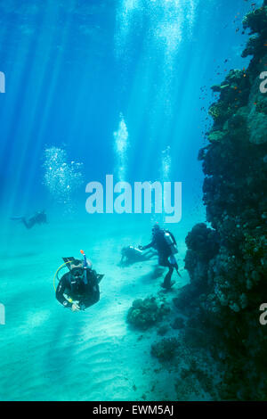 Taucher unter Wasser, Marsa Alam Reef, Rotes Meer, Ägypten Stockfoto