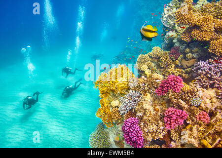 Unterwasser-Blick auf Taucher und Riff, Marsa Alam, Rotes Meer, Ägypten Stockfoto