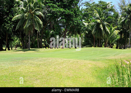 Golfplatz im Constance Lemuria Resort. Stockfoto